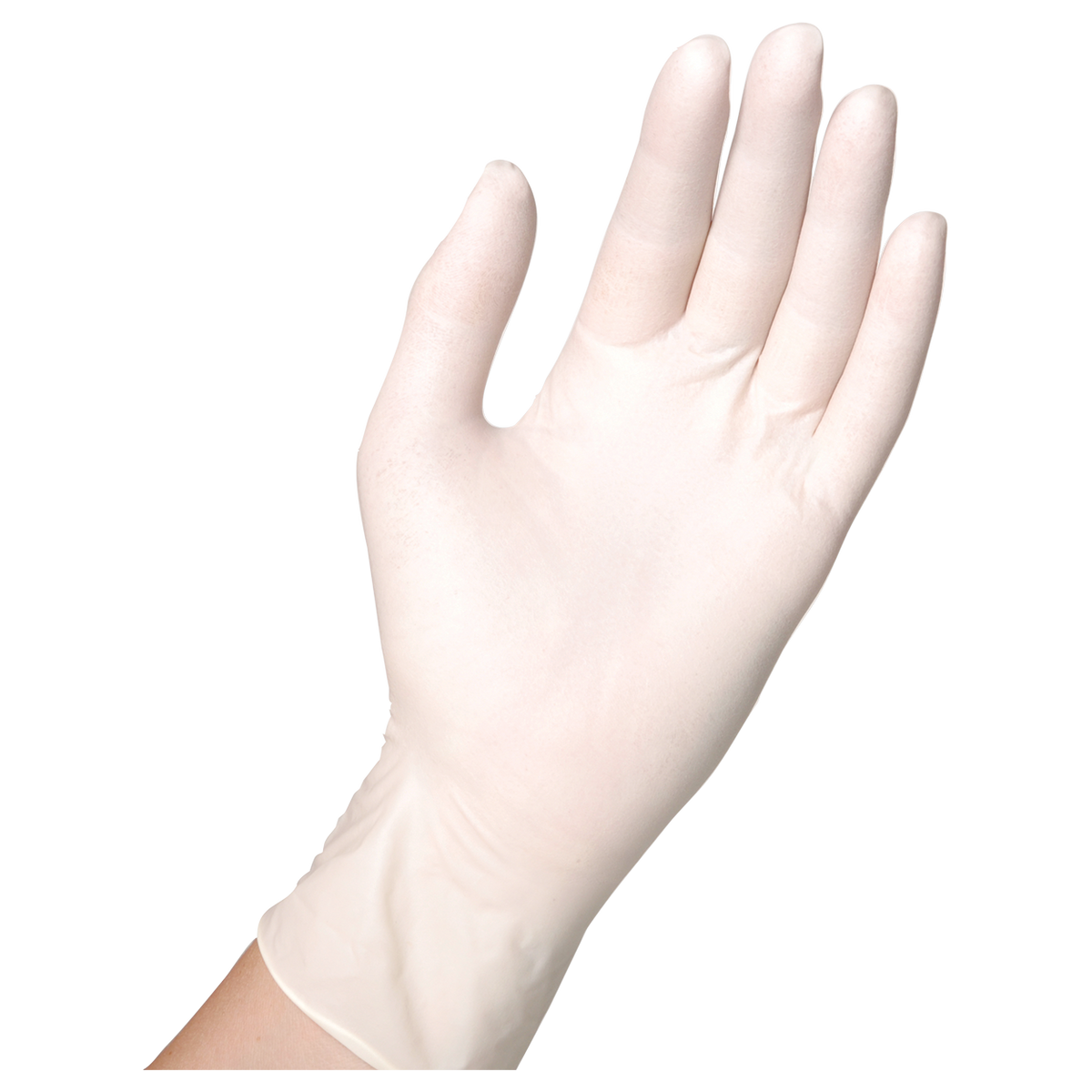 Disposable latex gloves - XL - 90 pcs SEMPERGUARD LATEX POWDERED - 2 — bultex99.com Disposable latex gloves - XL - 90 pcs SEMPERGUARD LATEX POWDERED - 2