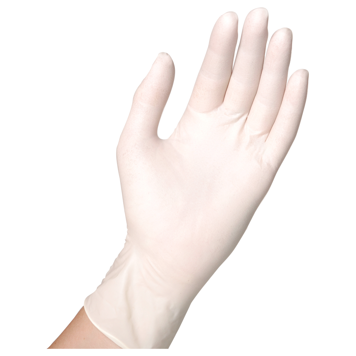 Mănuși de unică folosință din latex SEMPERGUARD LATEX POWDERED - 2