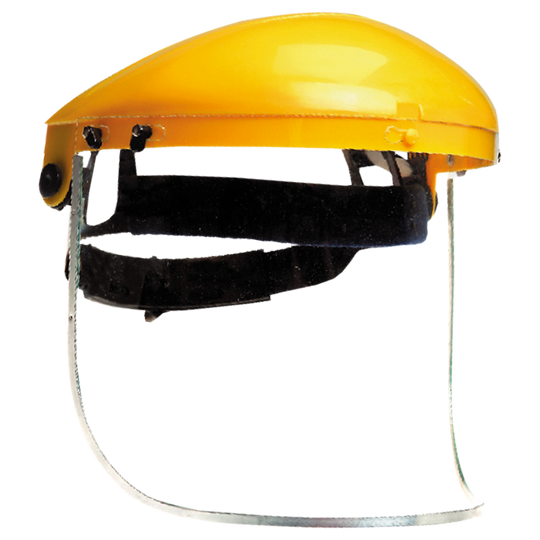 Face shield VISIGUARD