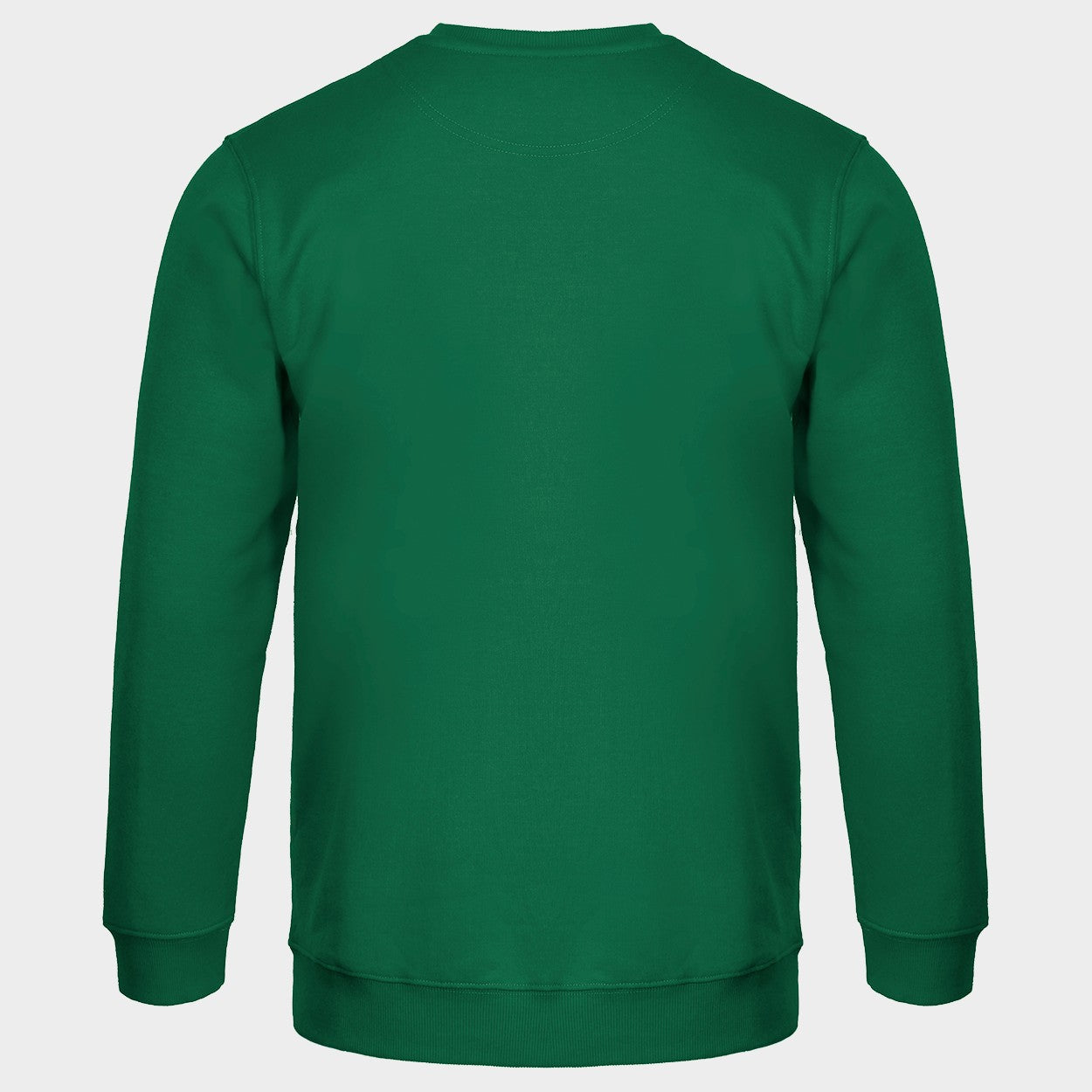 Long sleeve t-shirt REMO GREEN (TOURS) - 2