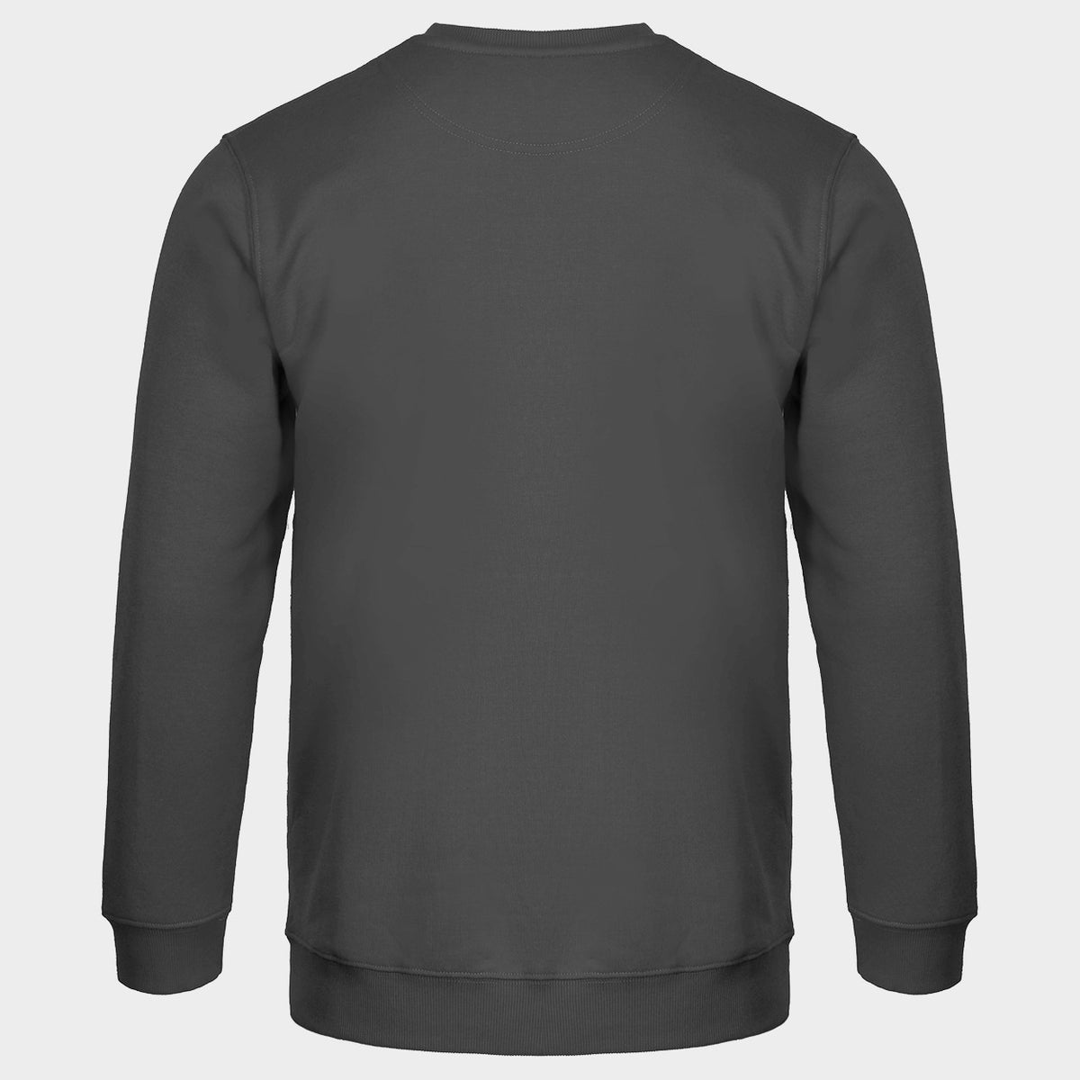 Long sleeve t-shirt REMO GREY (TOURS) - 2