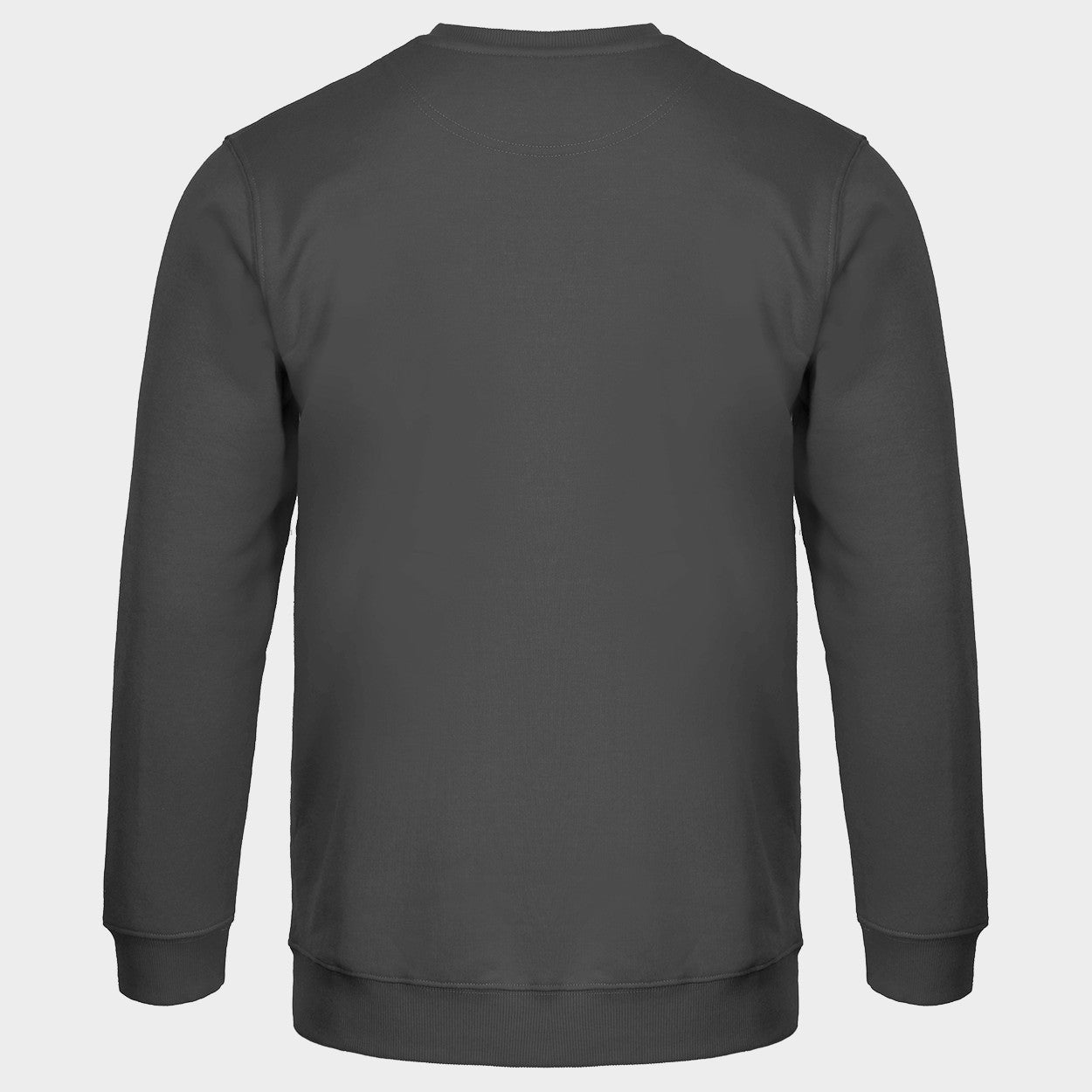 Long sleeve t-shirt REMO GREY (TOURS) - 2