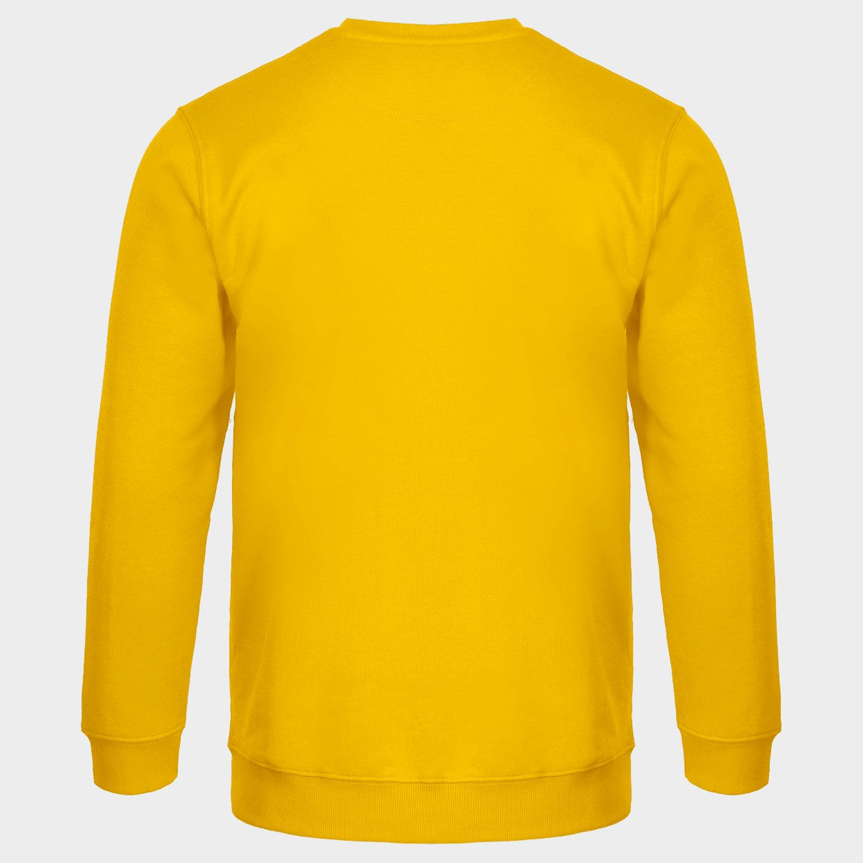 Long sleeve t-shirt REMO YELLOW (TOURS) - 2