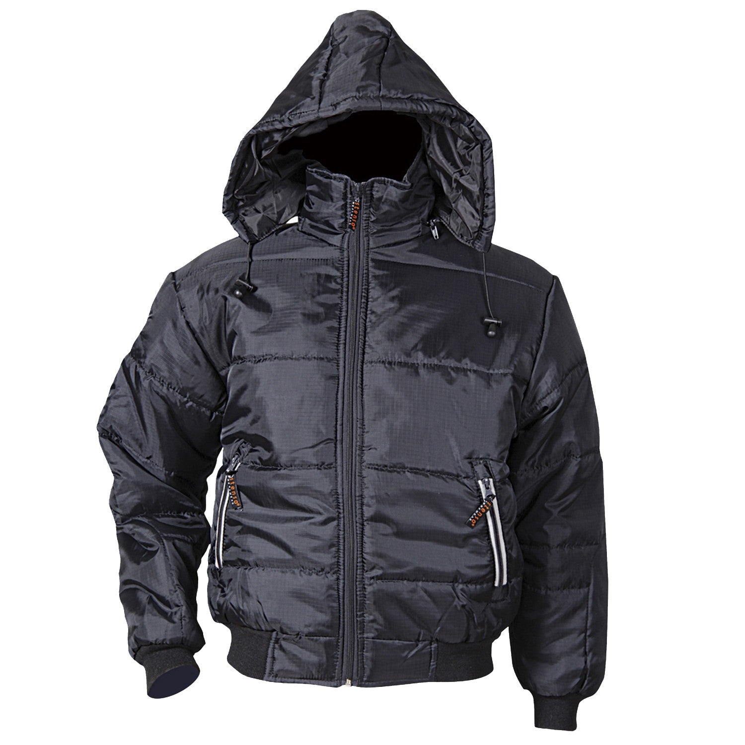 Padded jacket ENVY GREY
