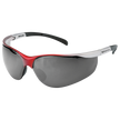 Safety glasses RAY SMOKE