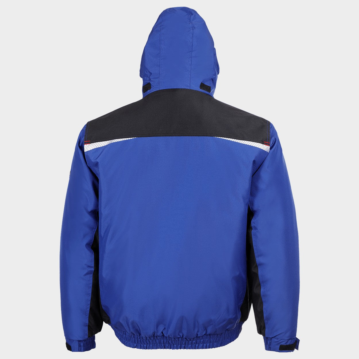 Work jacket PRISMA WINTER ROYAL BLUE - 2